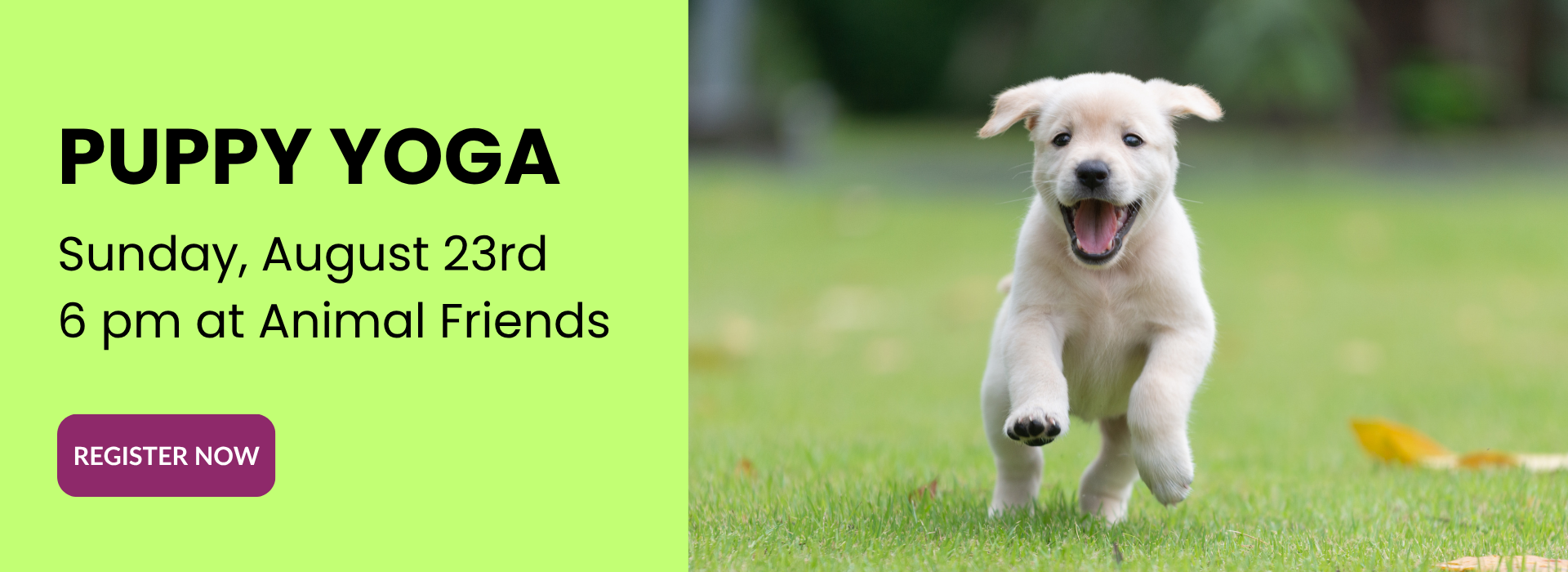 AFHS Puppy Yoga